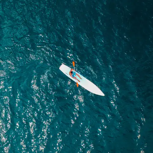 Spicy Combo with Fries