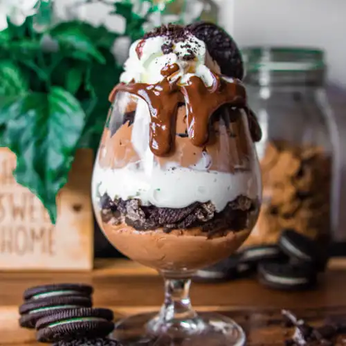 Chocolate dessert with cream and cookies.